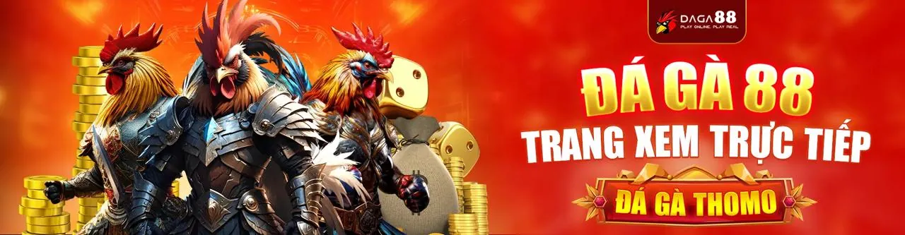 Đấu trường đá gà kịch tính tại nohu 52