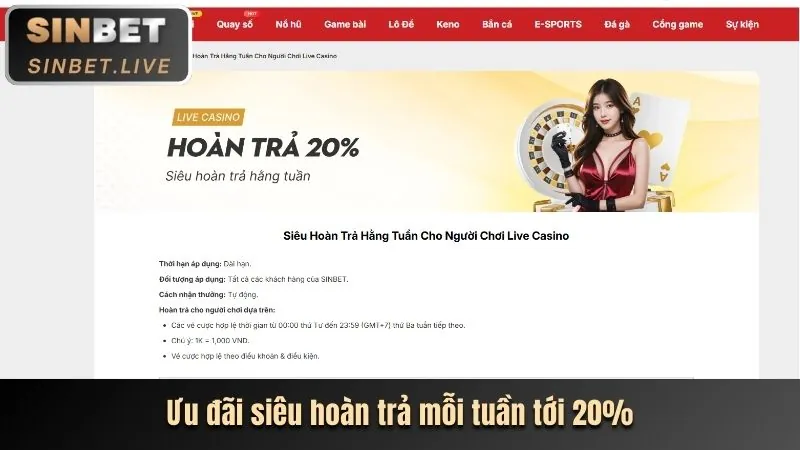 Tổng quan về nền tảng casino trực tuyến nohu 52
